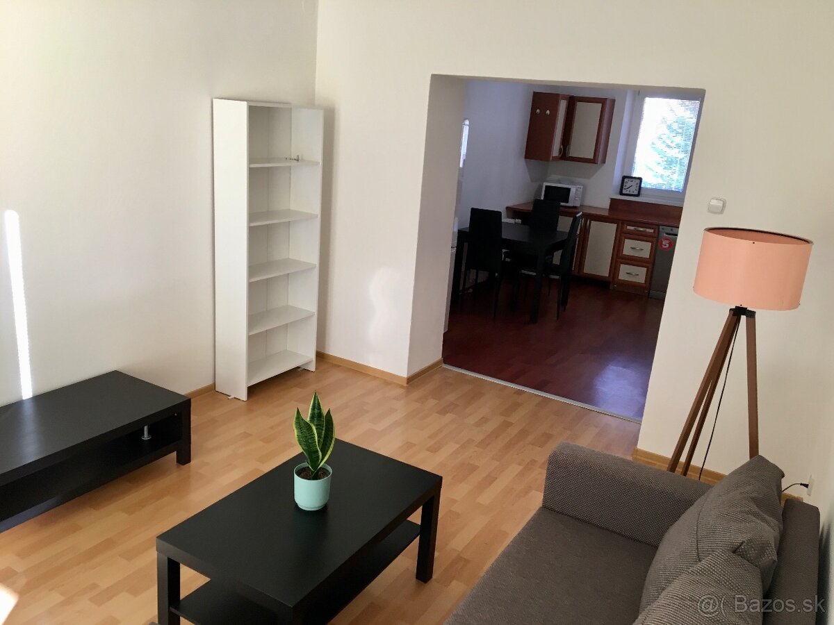 2-izbovy byt centrum - 2