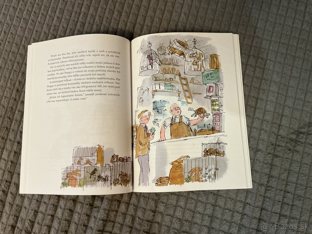 AKČAN TYROK - zozadu korytnačka (Roald Dahl) - 2