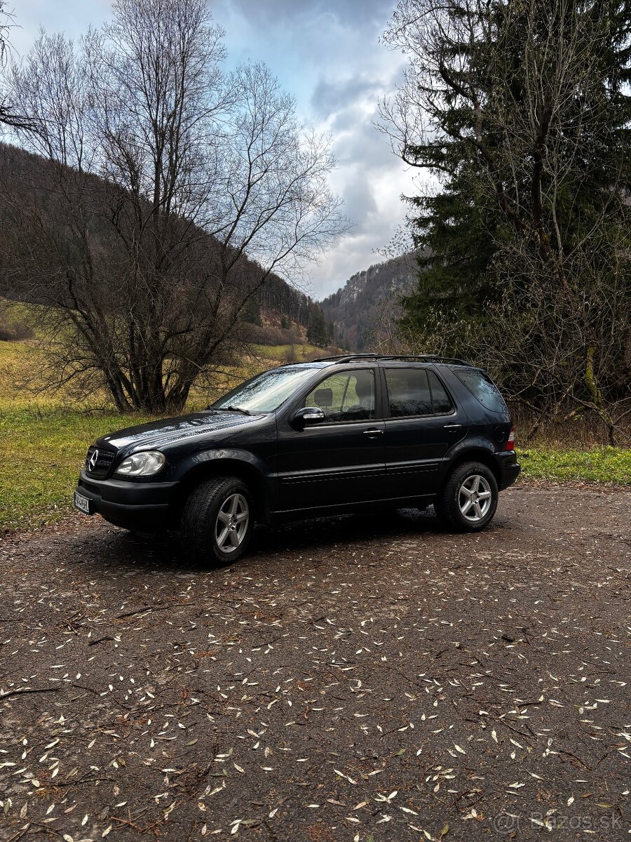 Mercedes MLW163 270cdi - 2