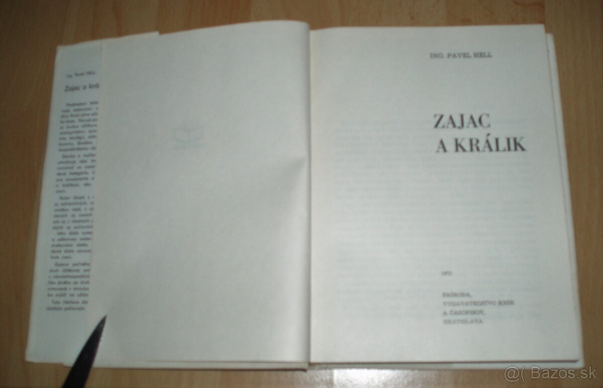 Zajac a králik - 2