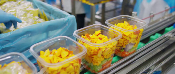 PRACA V HOLANDSKU TPP, brigada - 2