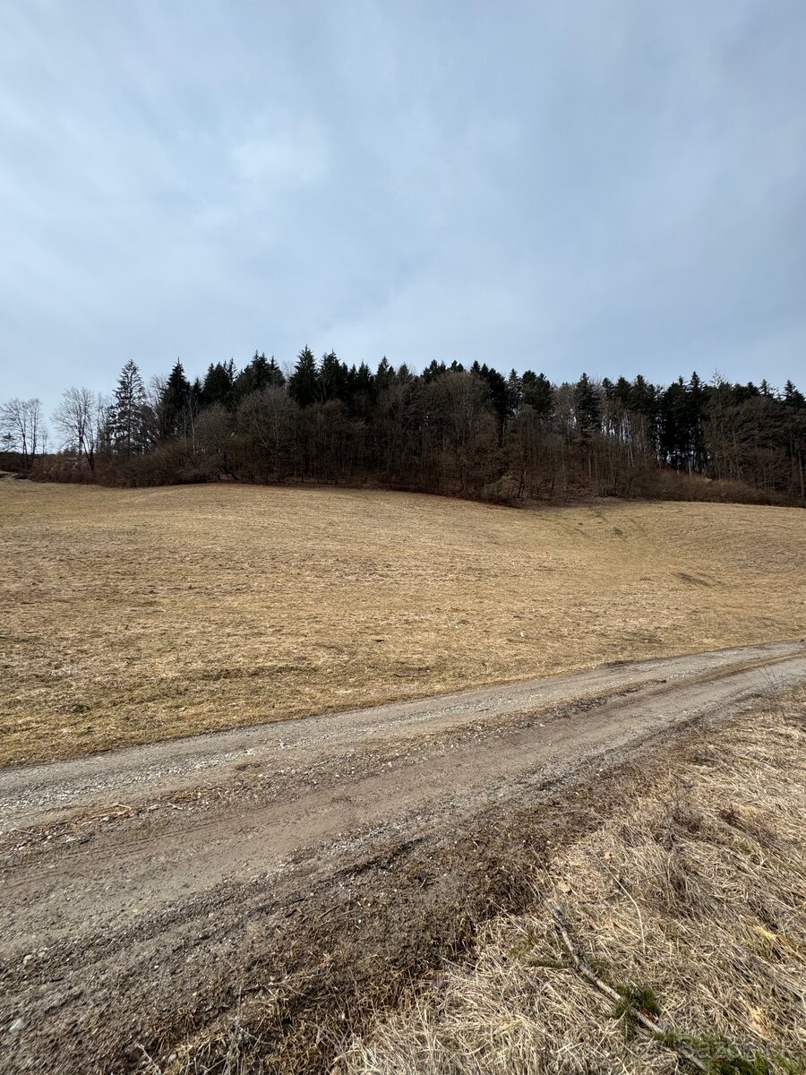 Pozemok Slovenská Ľupča - 2