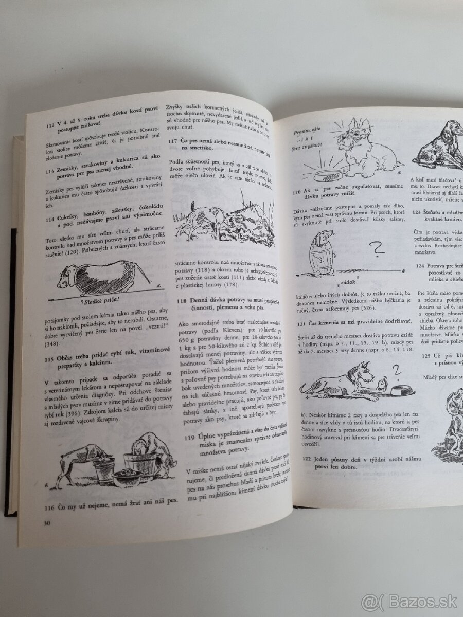 400 rád pre milovníkov psov - 2