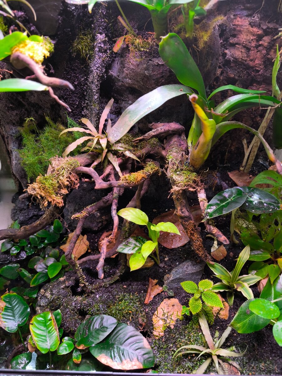 Predám terárium - 2