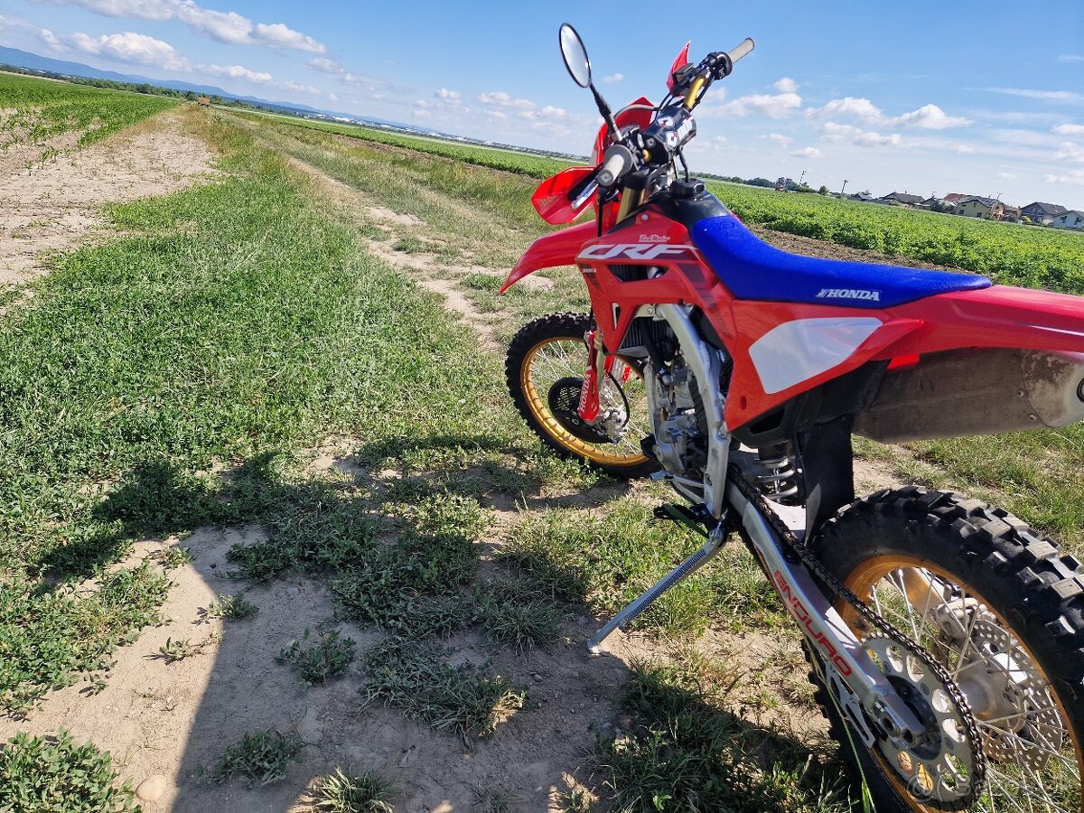 Honda CRF 300RX RED MOTO 50th
