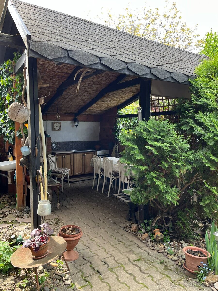 PREDAJ - Viničný dom s vinicou, Staré Predné Levice - 2