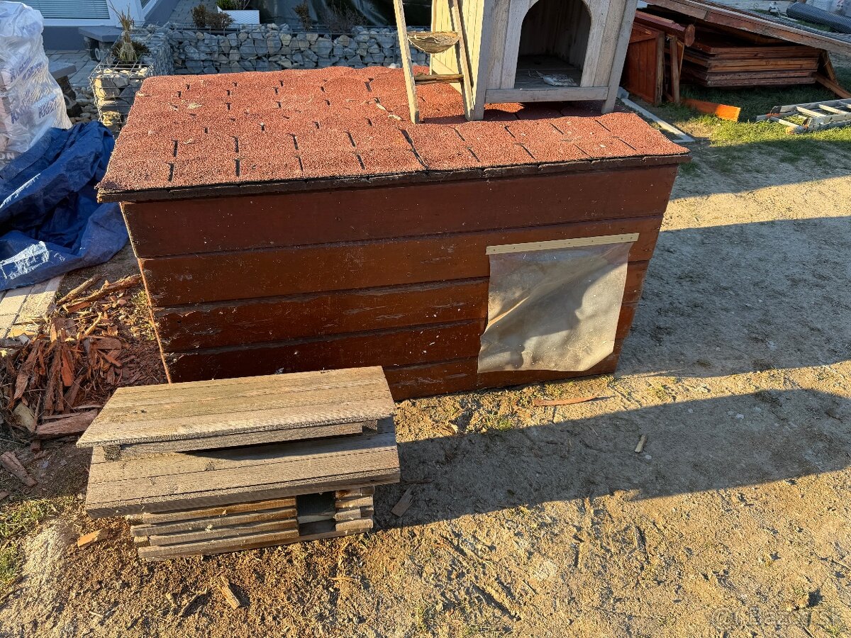 Buda pre psa, macku - 2