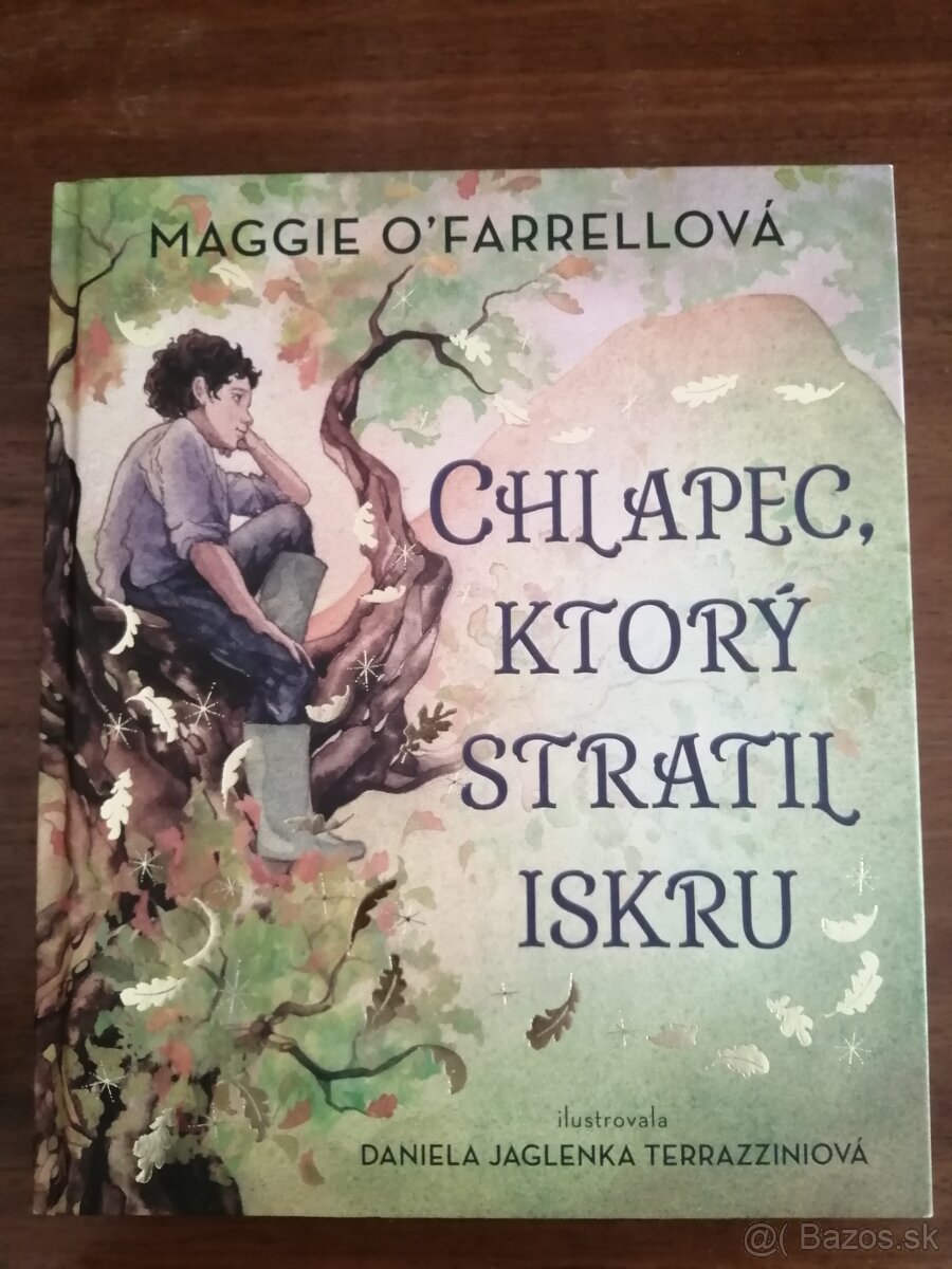 Chlapec, ktorý stratil iskru - NOVÁ - 2