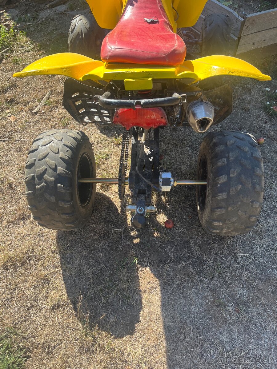 Bashan 250 - 2