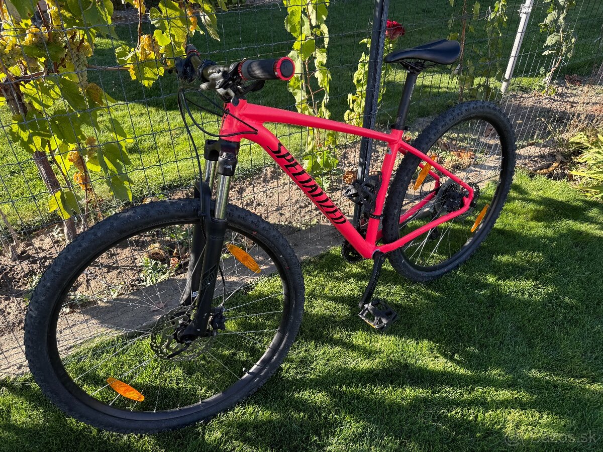 Specialized Rockhopper 29 - 2