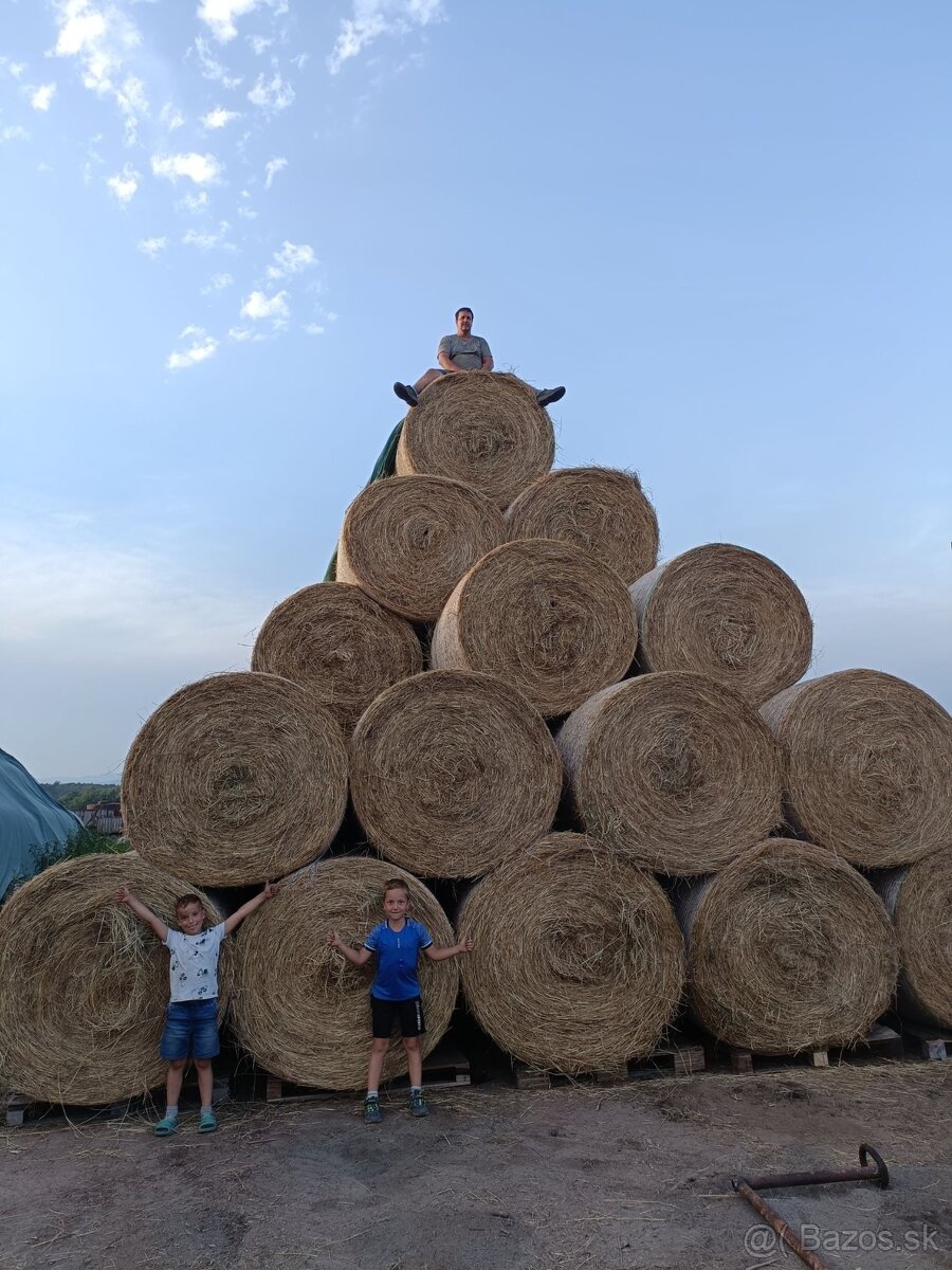 Seno na predaj - 2