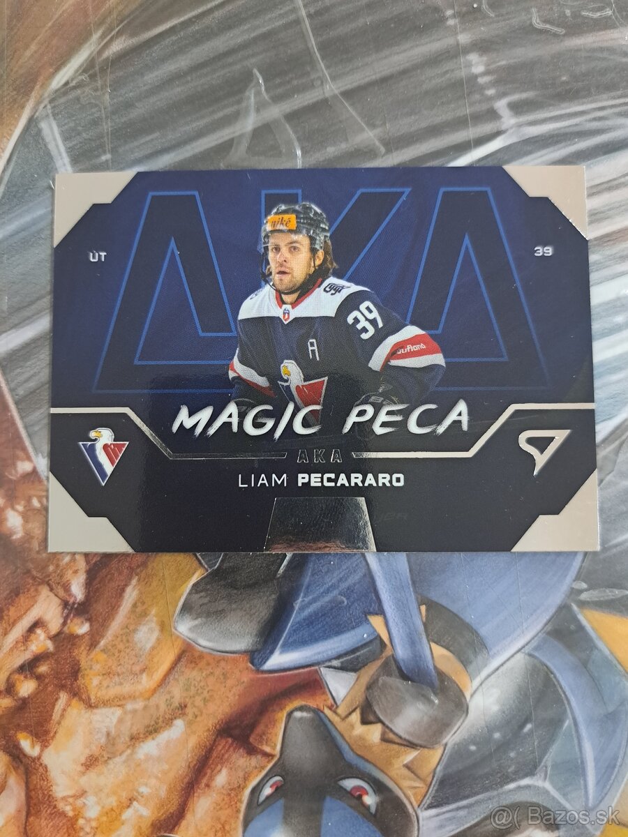 Extraliga kartičky - 2