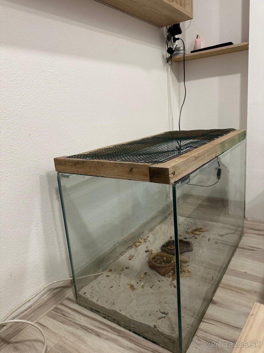 Terarijum - 2