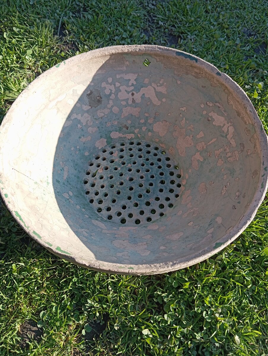 Cednik veľmi starý. - 2