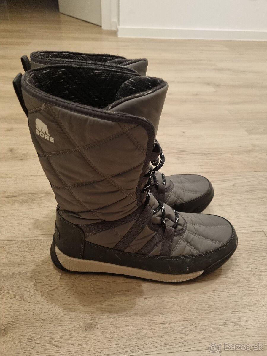 Snehule sorel - 2