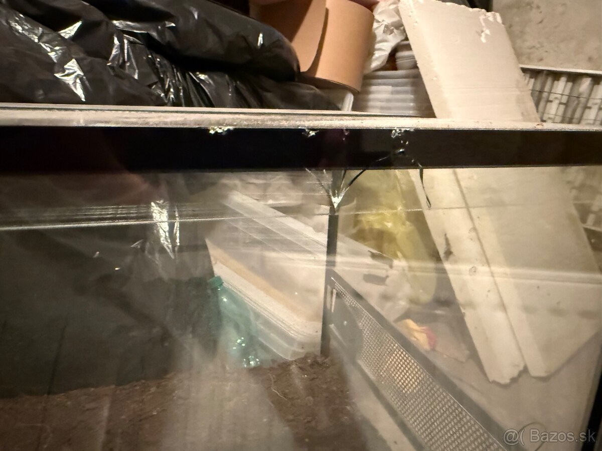 Terarium 60x40x40 - 2