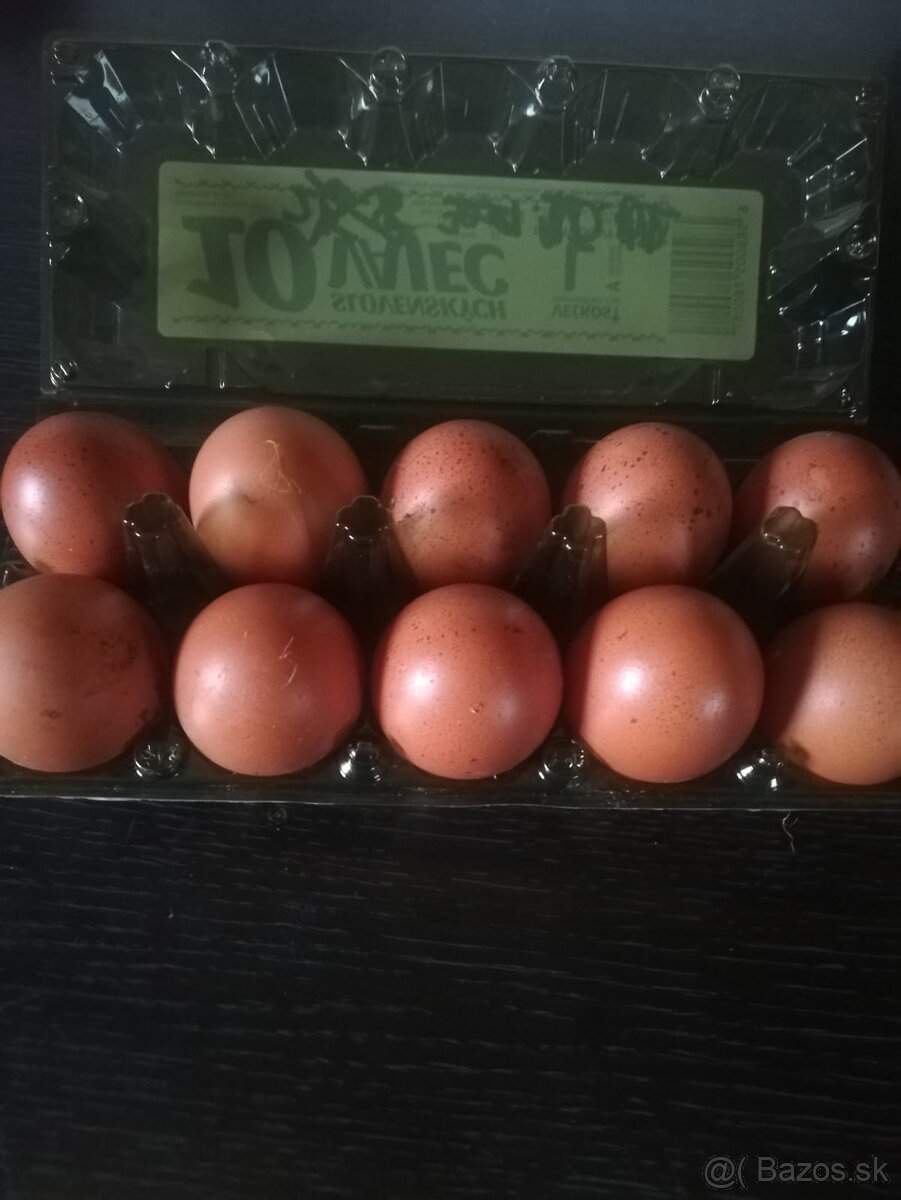 Predám domáce vajcia - 2