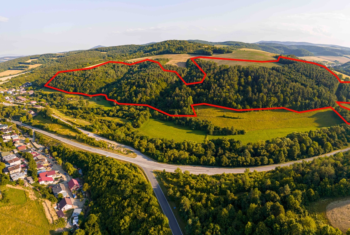 Rokycany – 250.000 m2 LESNÝ REKREAČNÝ POZEMOK v 1/1 pri PO - 2