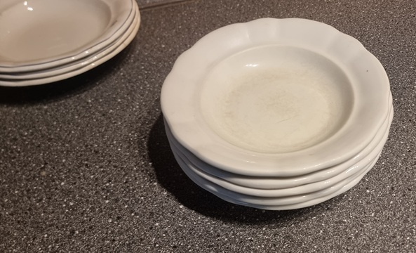 Hrubostenné taniere - 2