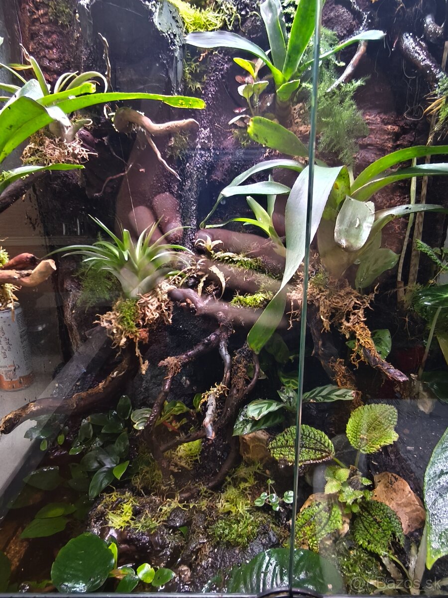 Predám terárium - 2