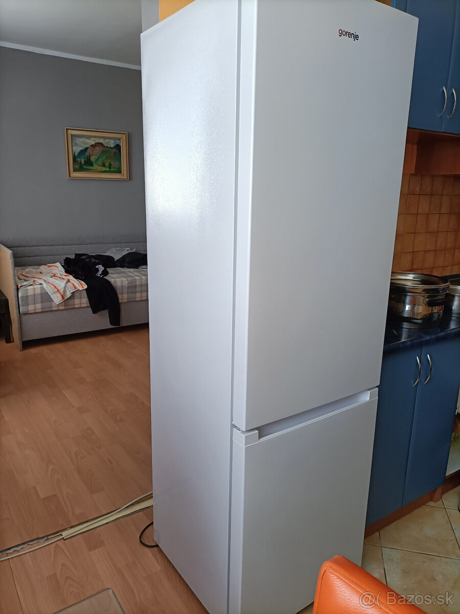 Chladnicka Gorenje RK4182PW4 - 2