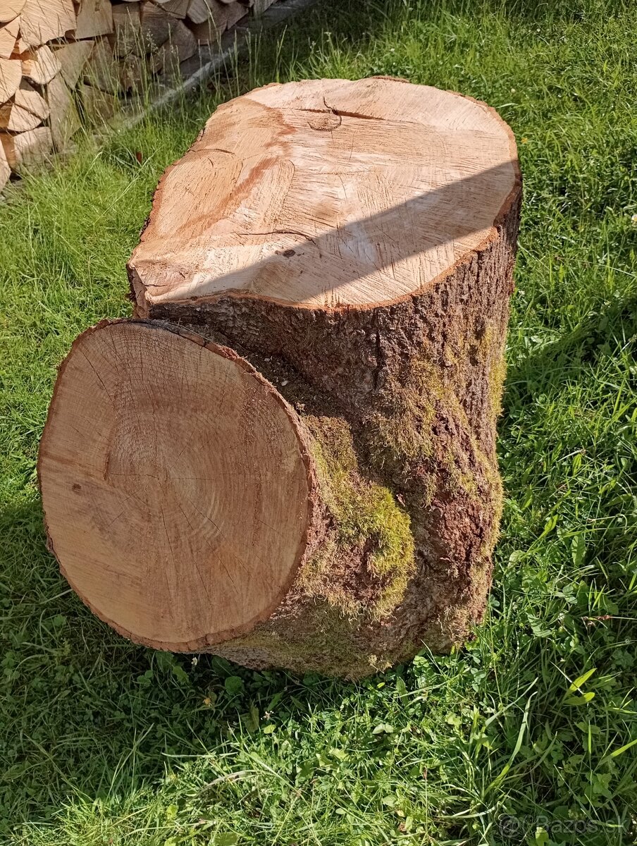 Klat z horského jasena - 2