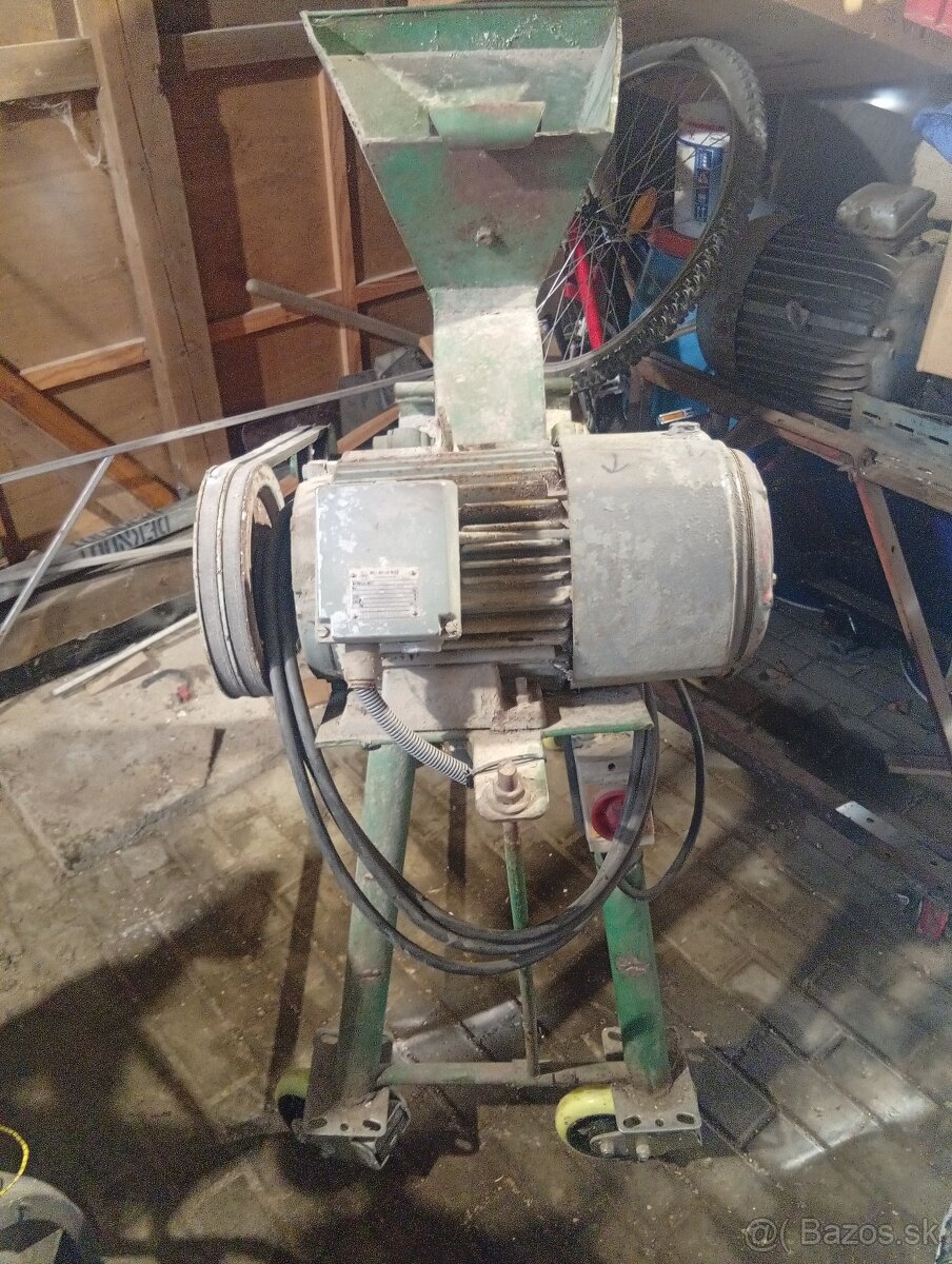 Srotovnik kladivkovy - 2