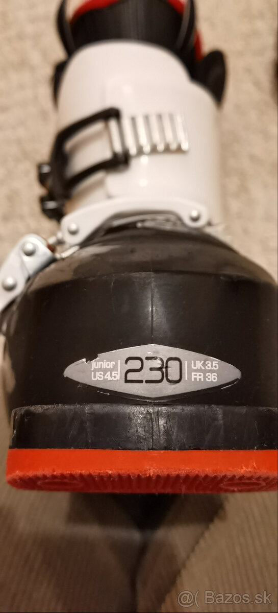 Lyžiarky, palice - 2