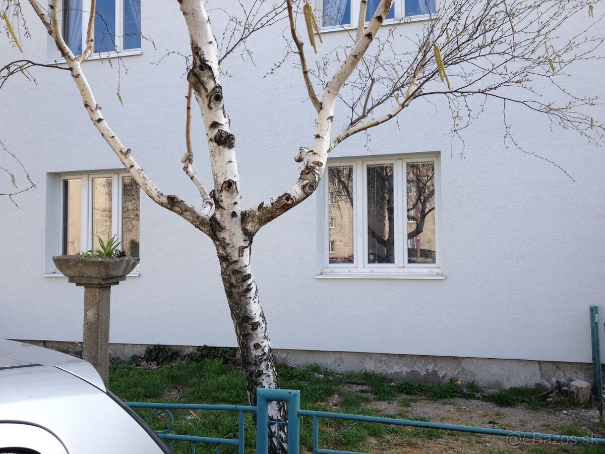 NA PREDAJ investičny byt - 2
