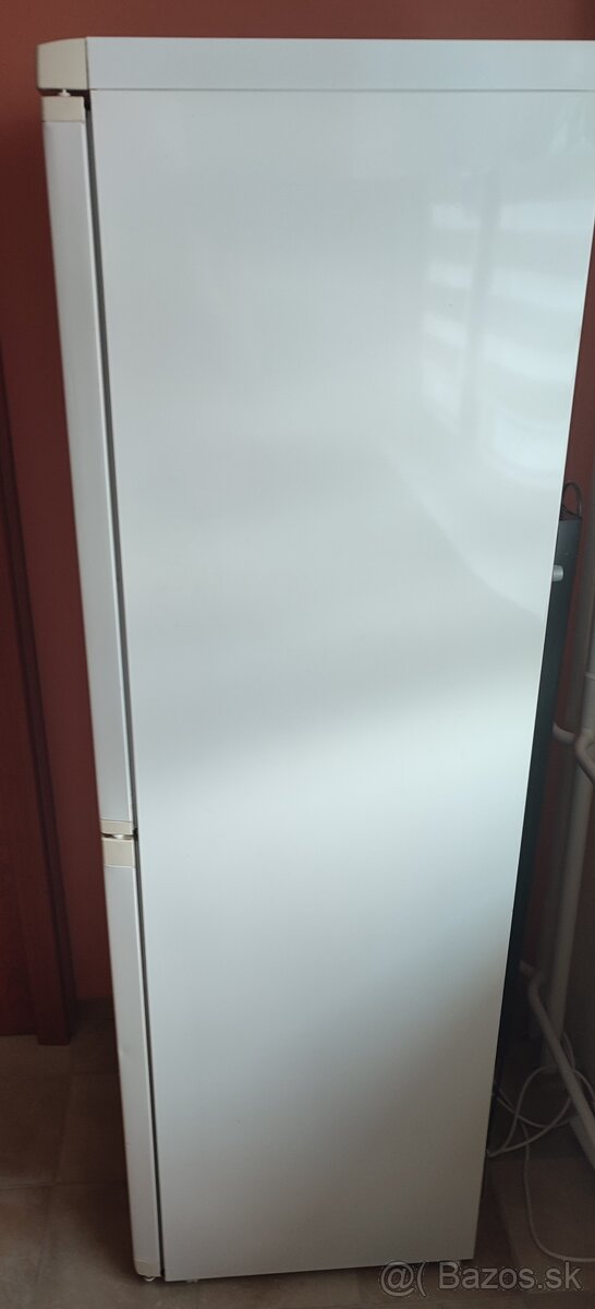 Kombinovaná chladnička s mrazničkou Calex. - 2