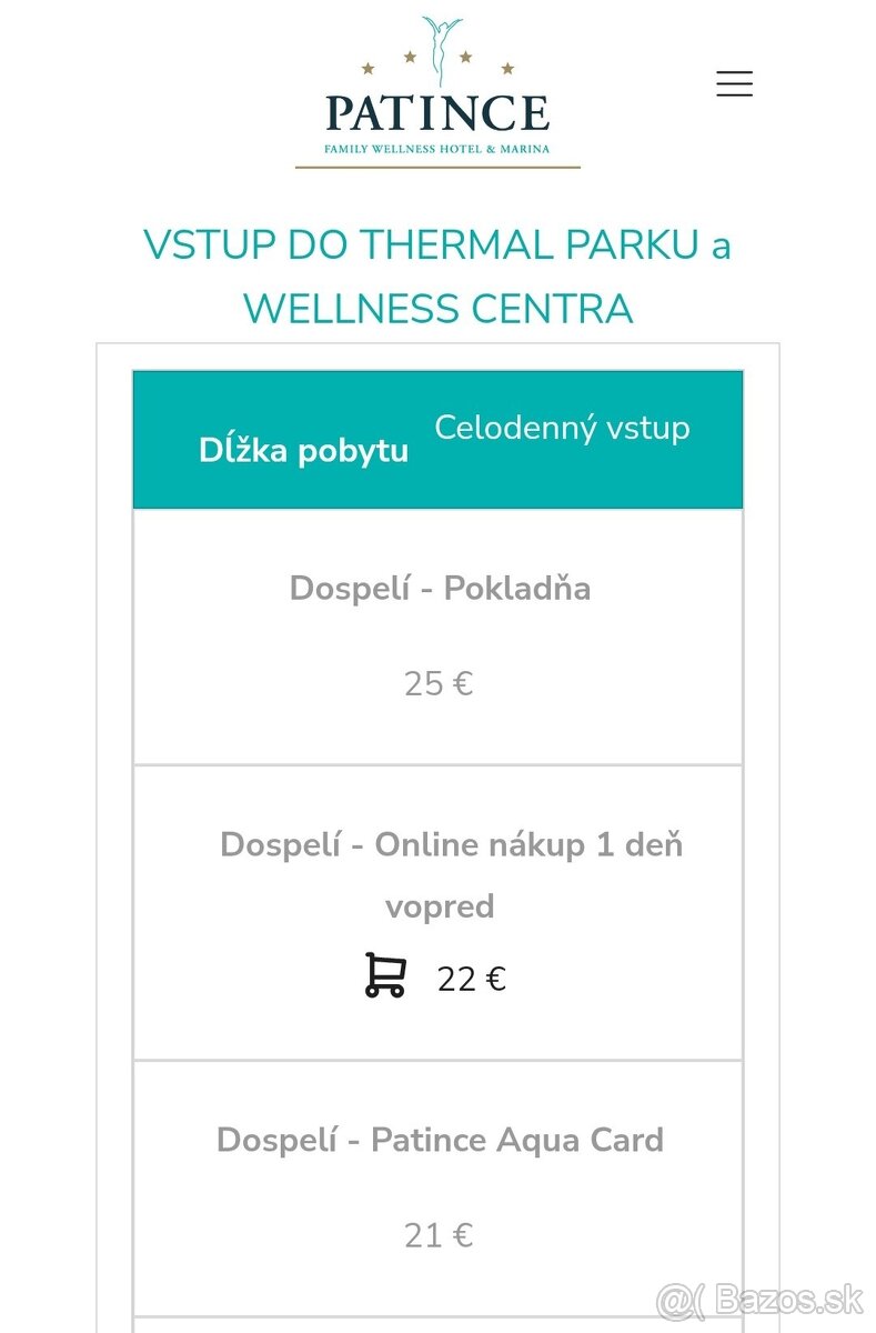 Wellness hotel Patince - 2