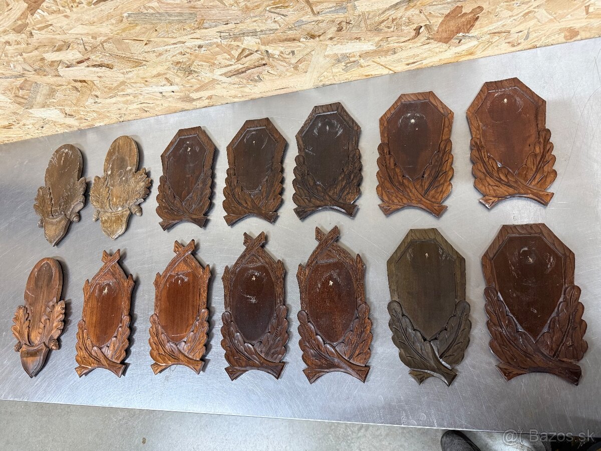 Trofej,parohy,parozie,srnec - 2