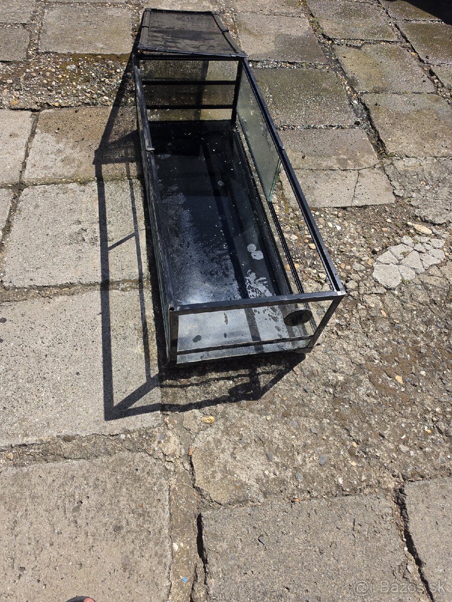 Terarium - 2