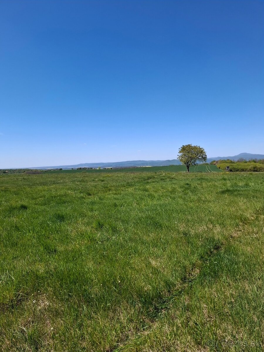 Pozemok na ranč - 2
