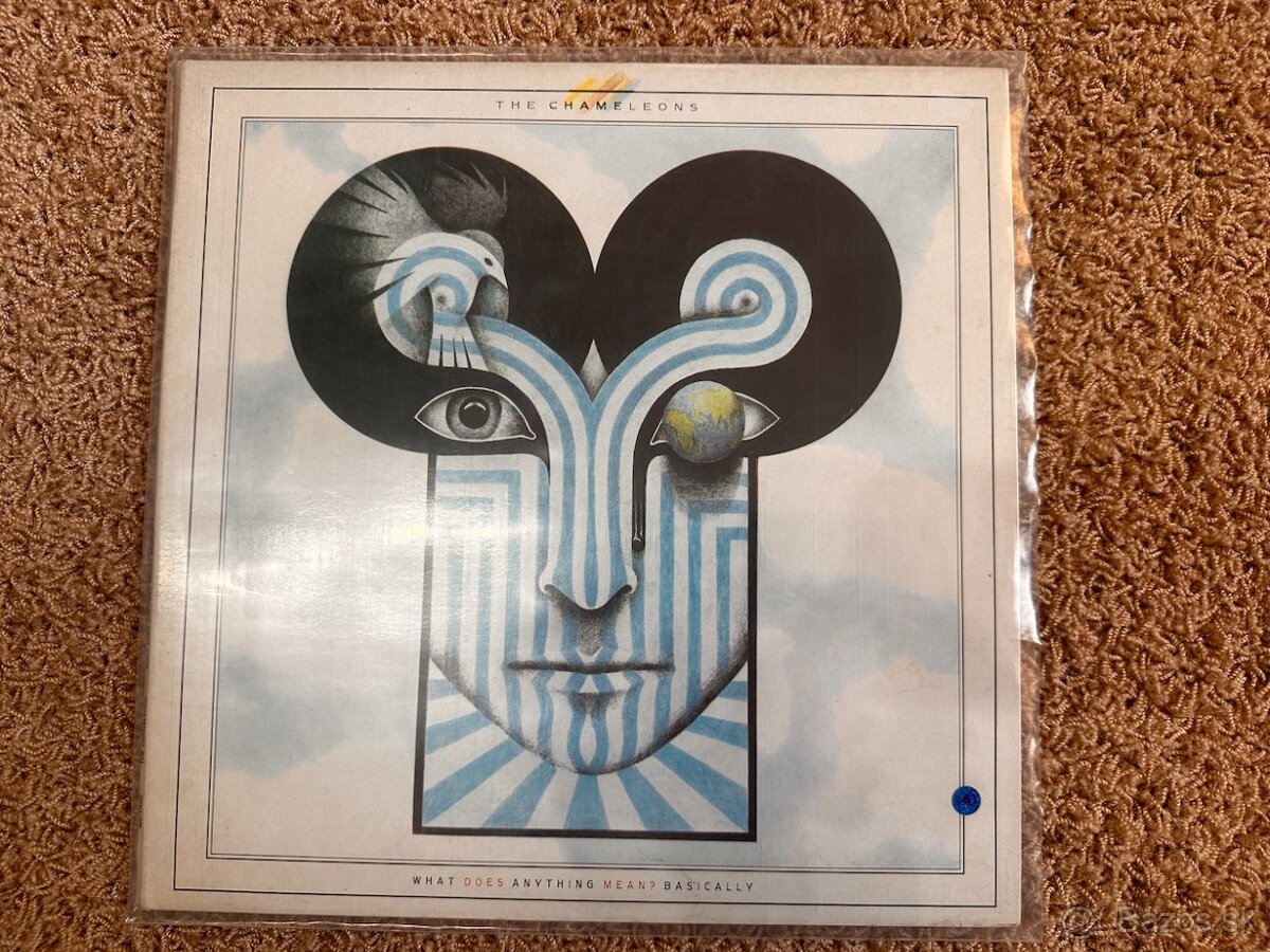 LP / Chameleons The – What Does Anything Mean? Basically (i - 2