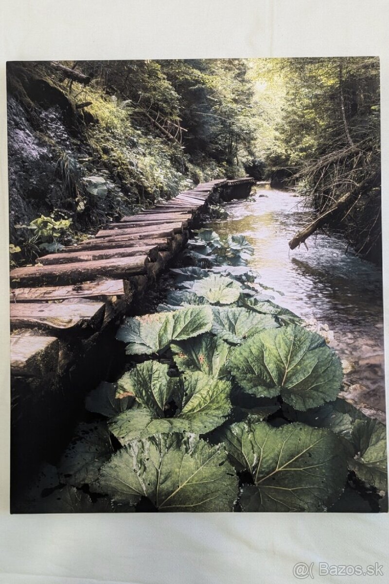 Predám fotobraz Tomašovská Belá
- 2