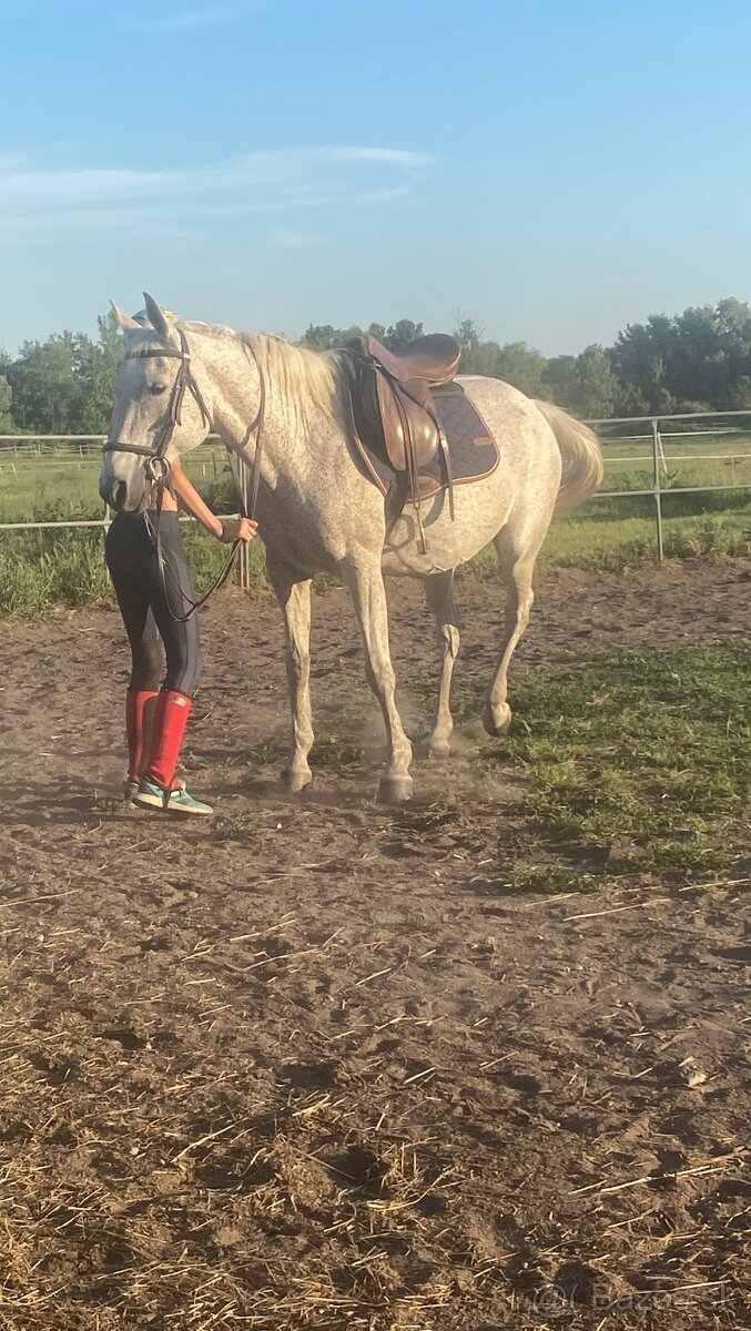 Jazdenie na koni - 2