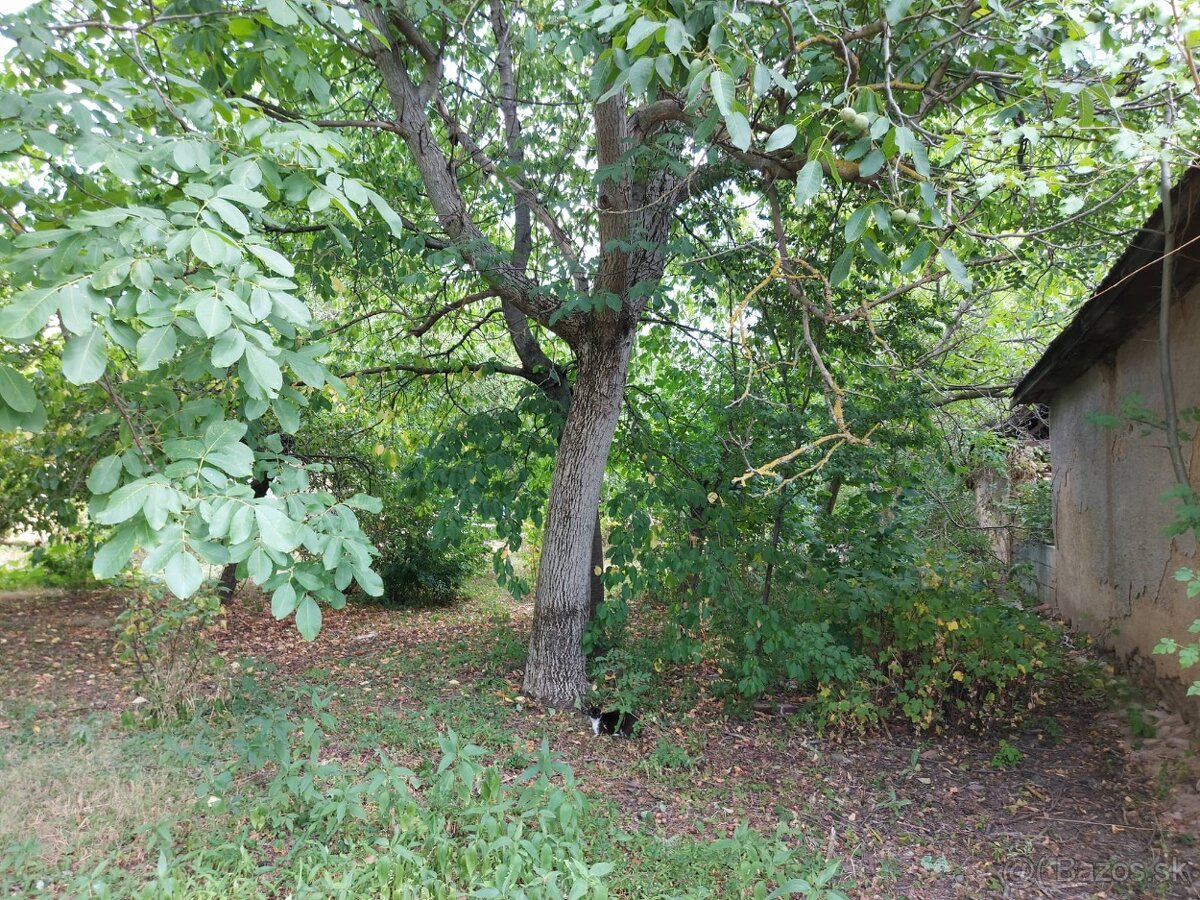 Stavebný pozemok Nový Tekov - 2