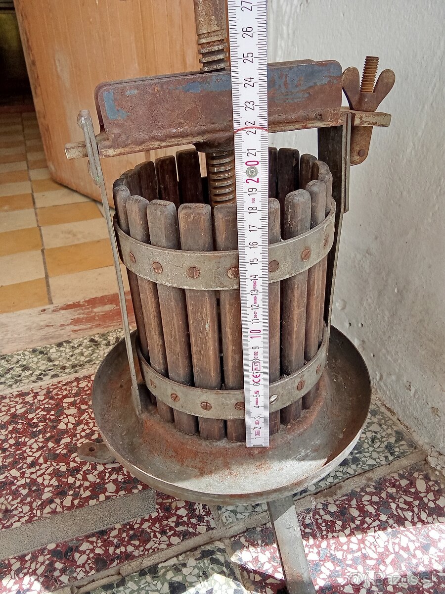 Lis na hrozno,ovocie. - 2