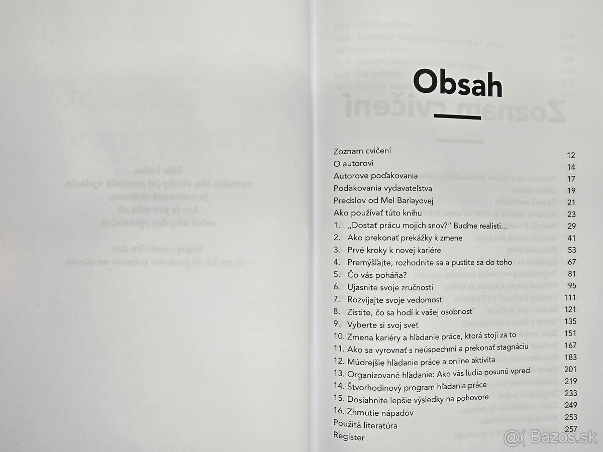 Ako dostať prácu snov - John Lees - 2