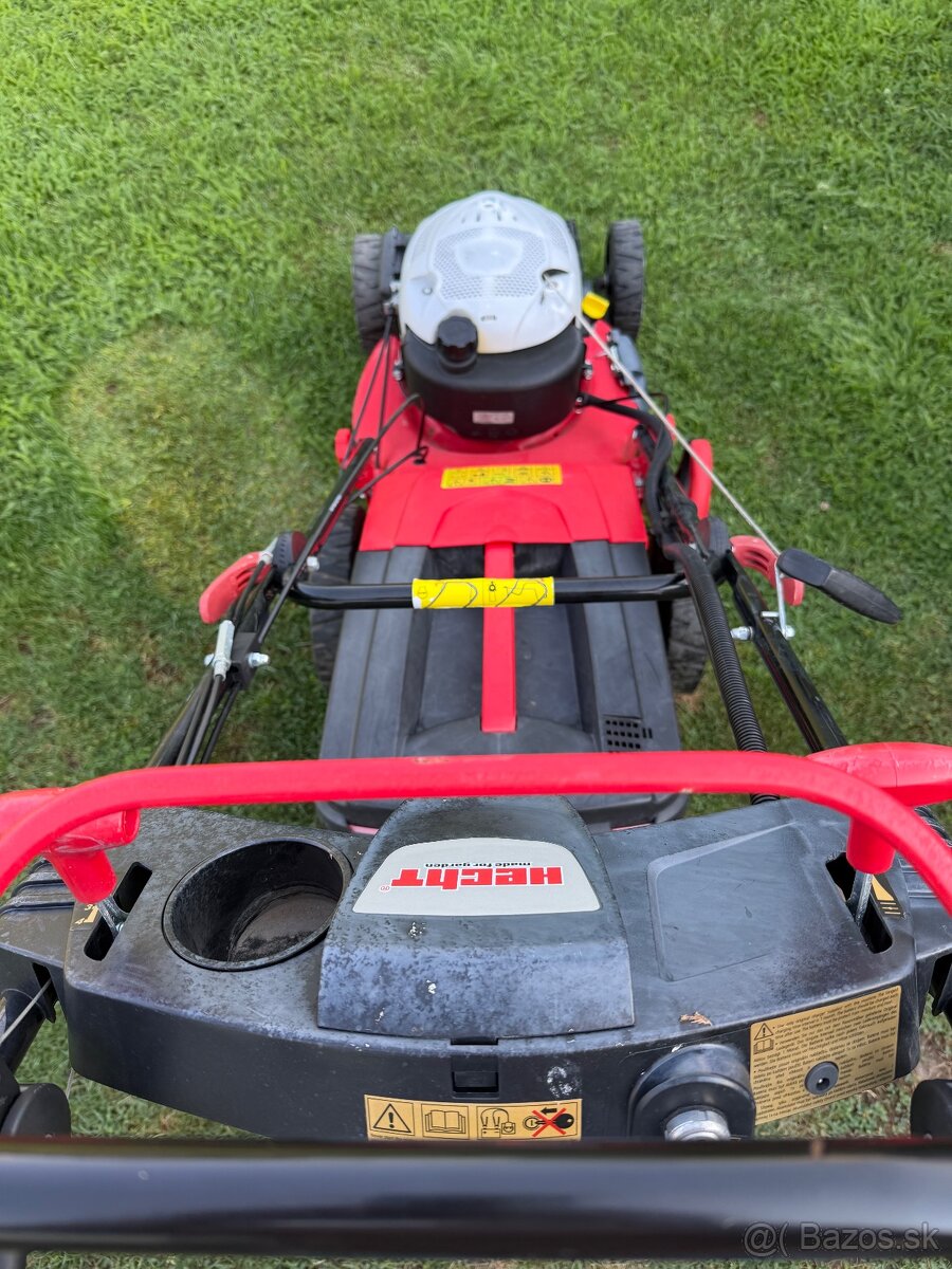 Hecht 5464 SXE - 2