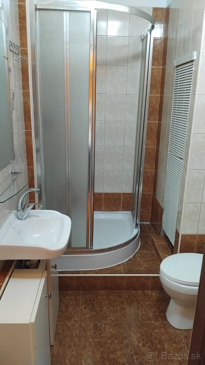 Prenajom 1 izbovy byt - 2