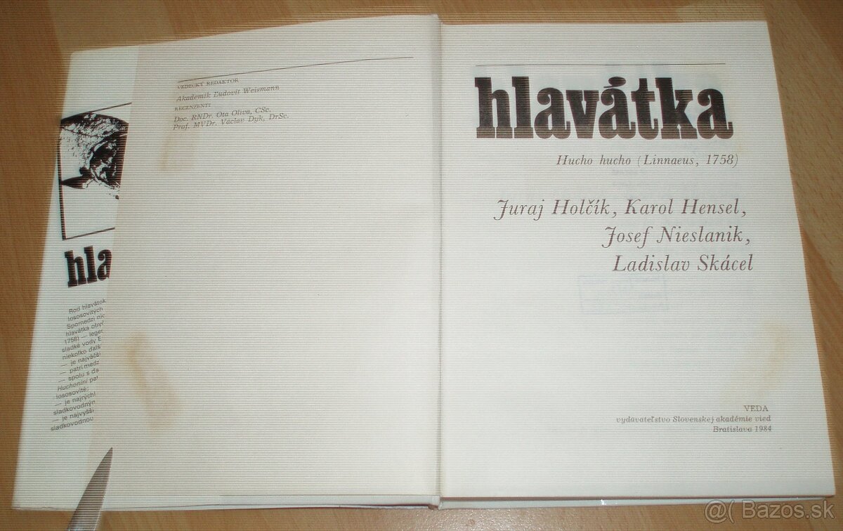 Hlavátka - 2
