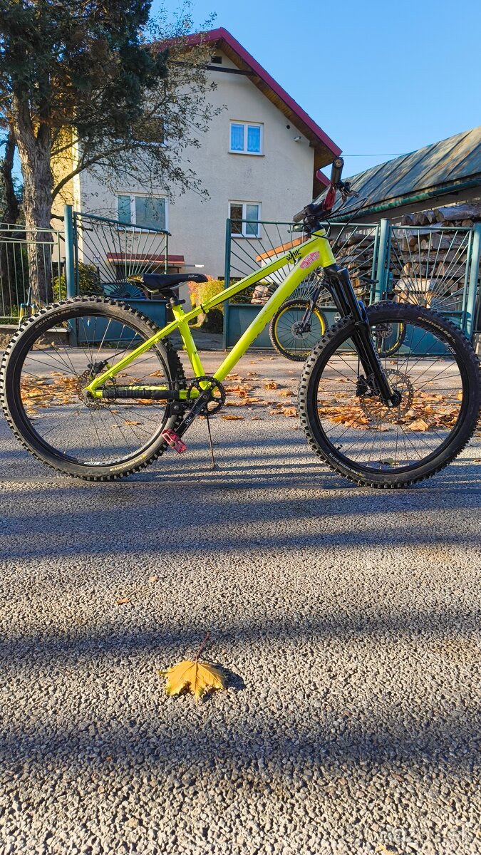 Kellys whip 10 2018 - 2