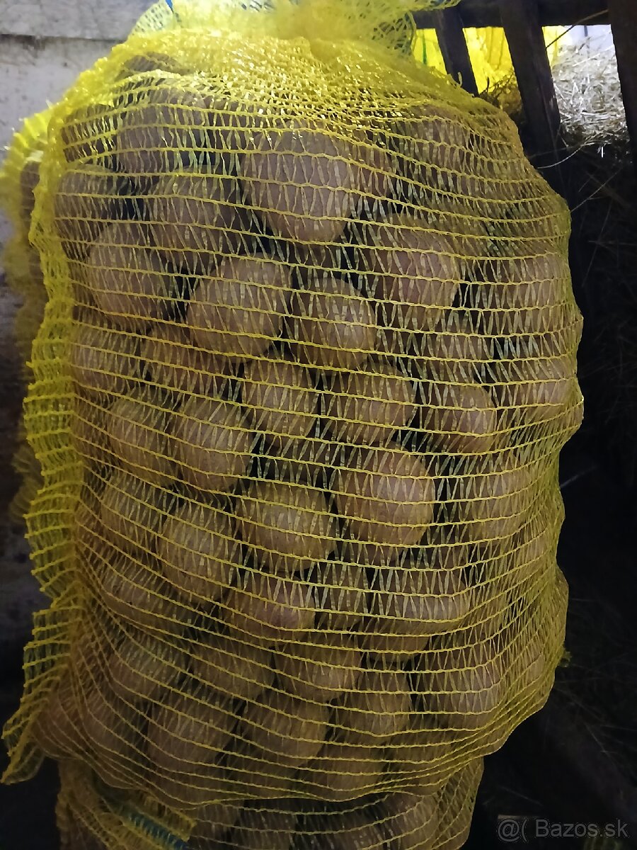 Sadbové zamiaky Red Anna - 2