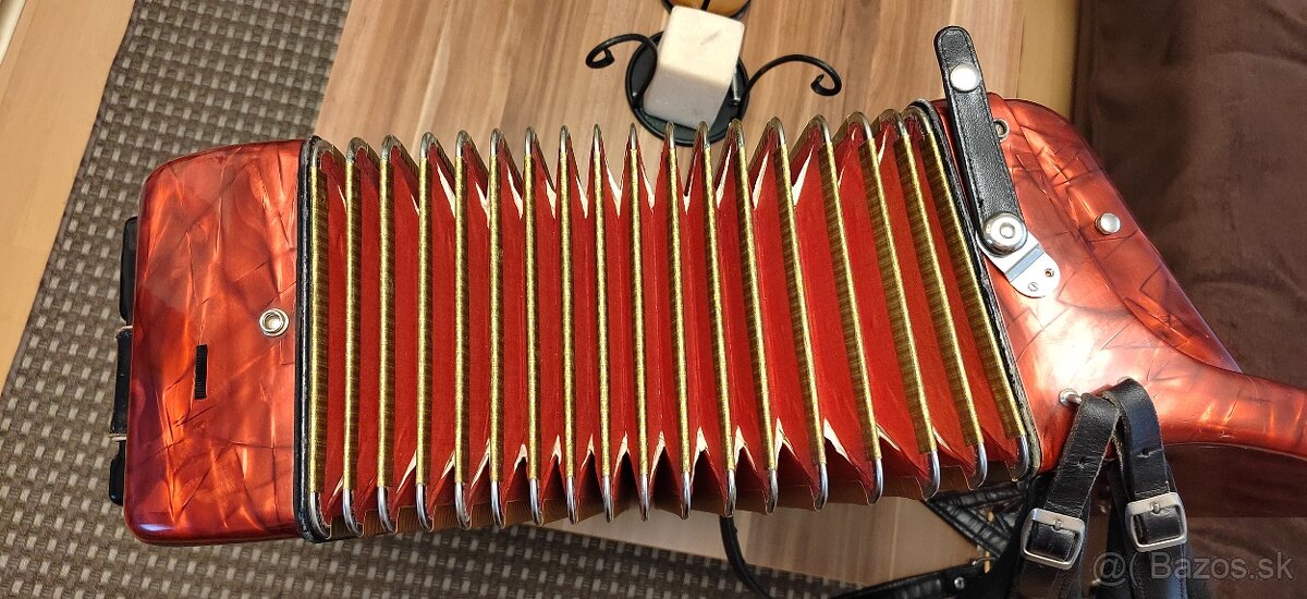 Harmonika(akordeón) - 2