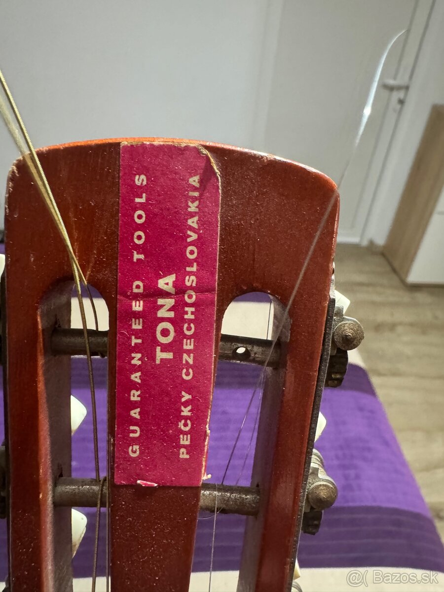 Strunová gitara - 2