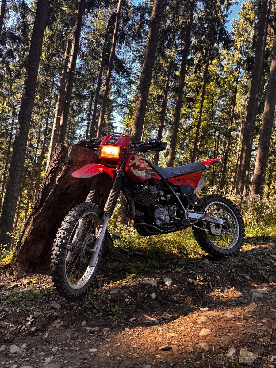Honda - 2