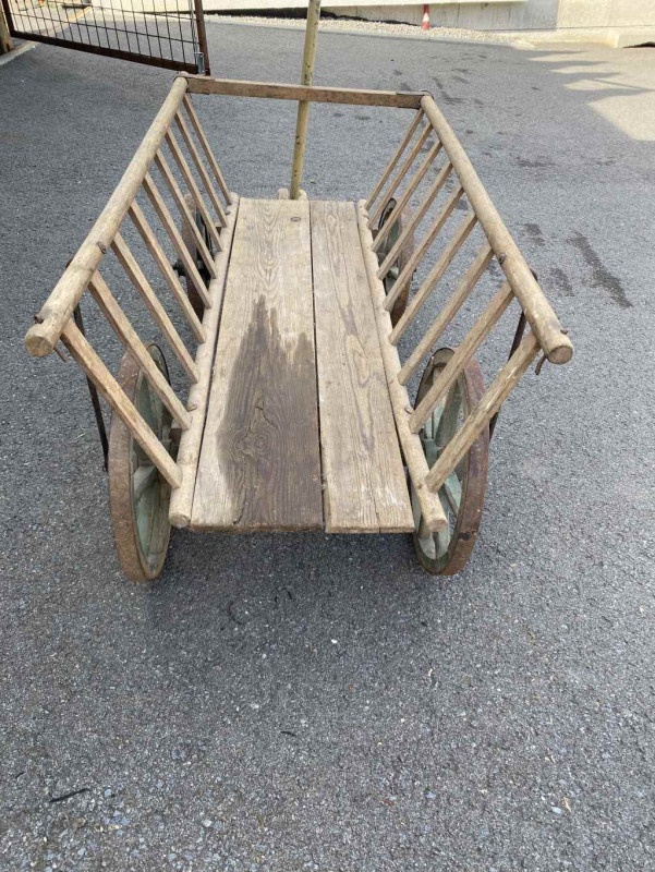 Menší rebriňák - 2