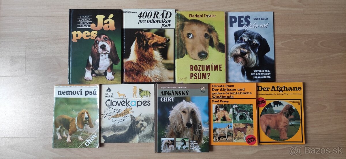 Pes, mačka - 2